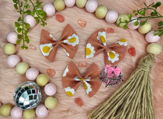 Coral Daisy